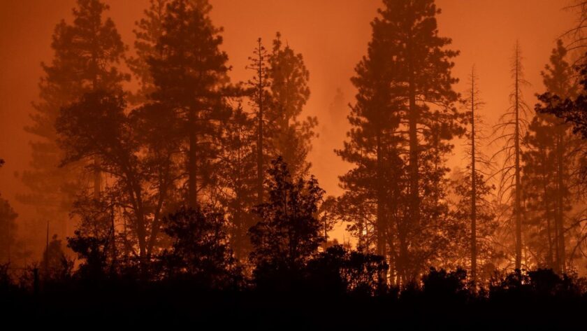 Mégafeu en Californie : les pompiers combattent l'incendie dans des conditions plus difficiles
          Les circonstances sont de plus en plus propices à la progression du feu, avec des vents renforcés et des températures en hausse, selon les autorités.